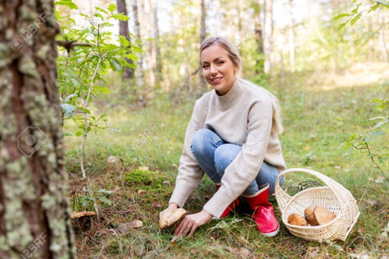 Picking Mushrooms In a Dream: Spiritual Meaning