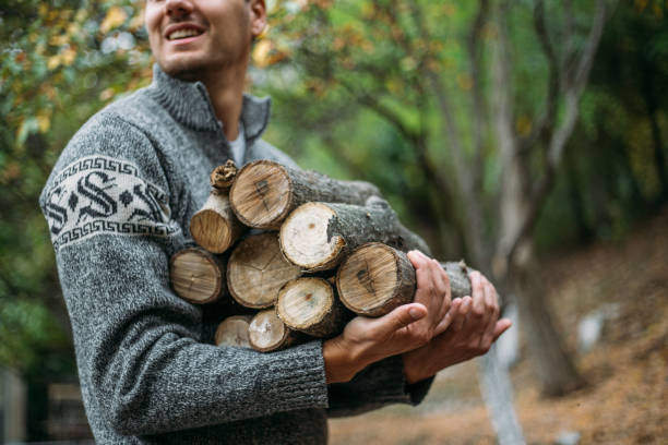 Discover the Spiritual Meaning of Gathering Firewood in Your Dreams