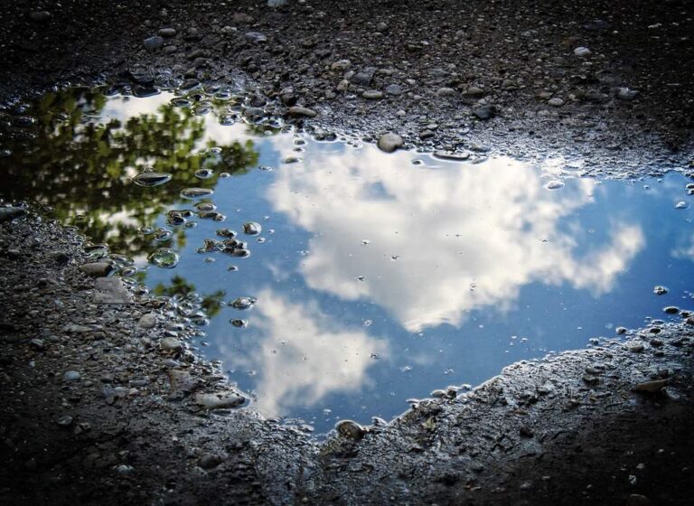 Puddle of Water in Your Dreams: What It Means Spiritually