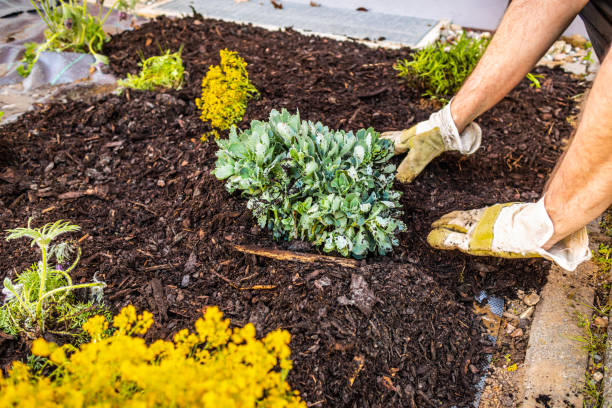 6 Easy Ways to Prepare Your Garden for Winter